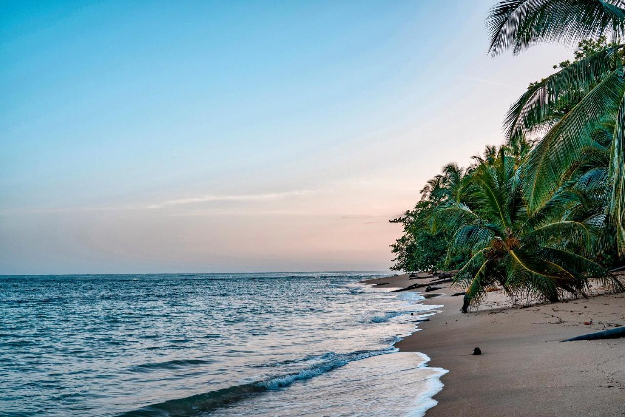 Casitas Las Flores Puerto Viejo de Talamanca Екстериор снимка