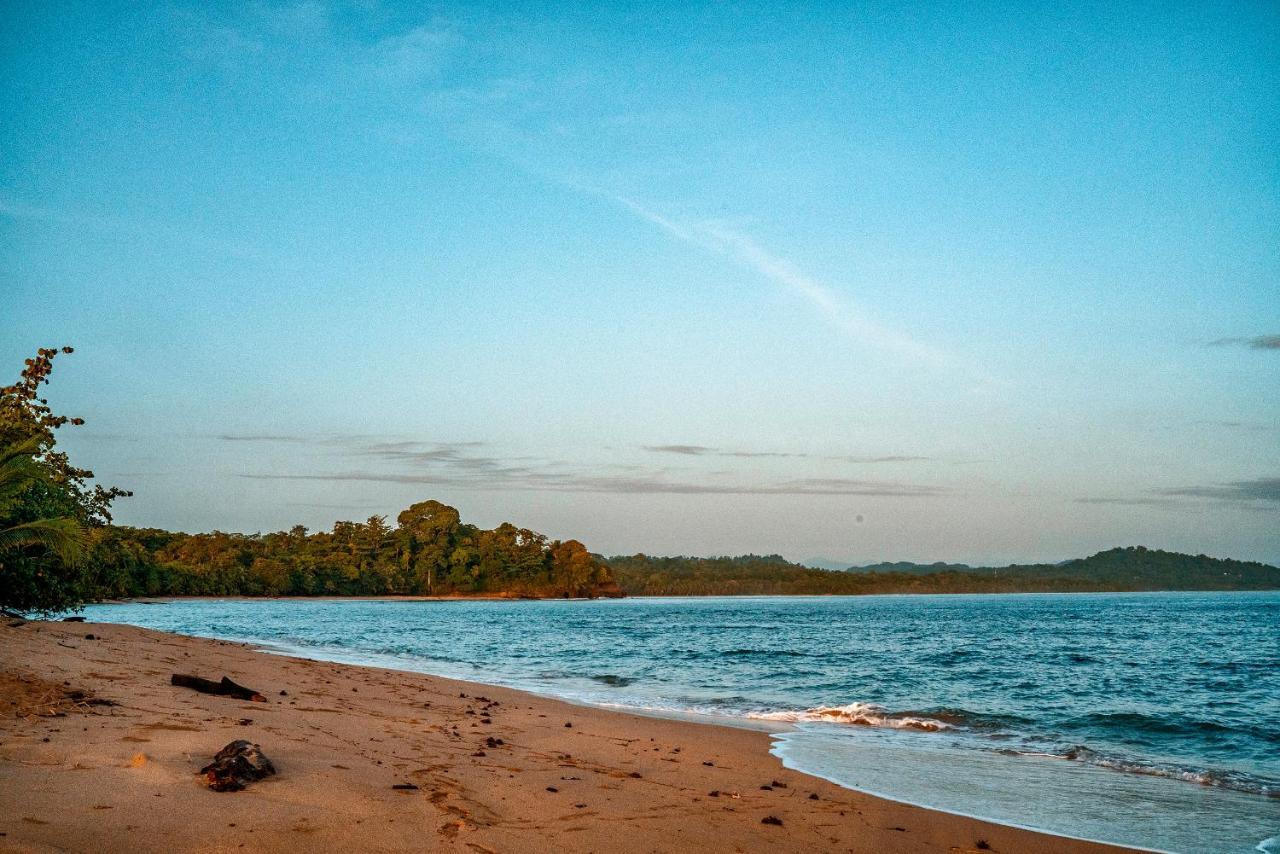 Casitas Las Flores Puerto Viejo de Talamanca Екстериор снимка
