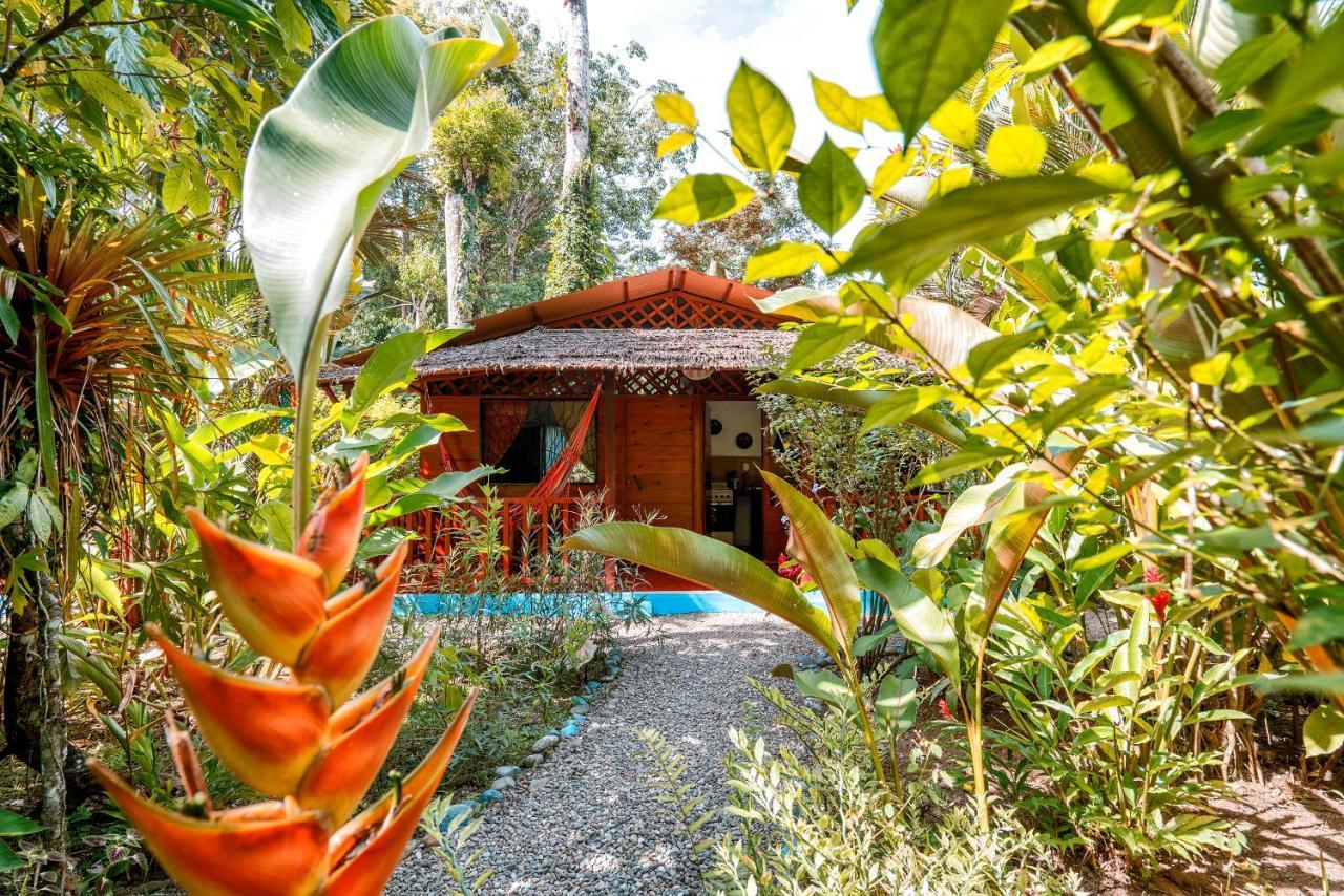 Casitas Las Flores Puerto Viejo de Talamanca Екстериор снимка