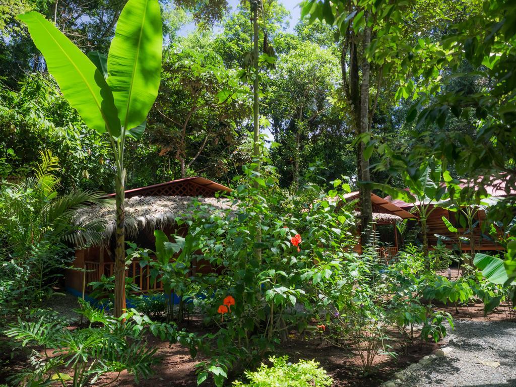Casitas Las Flores Puerto Viejo de Talamanca Екстериор снимка