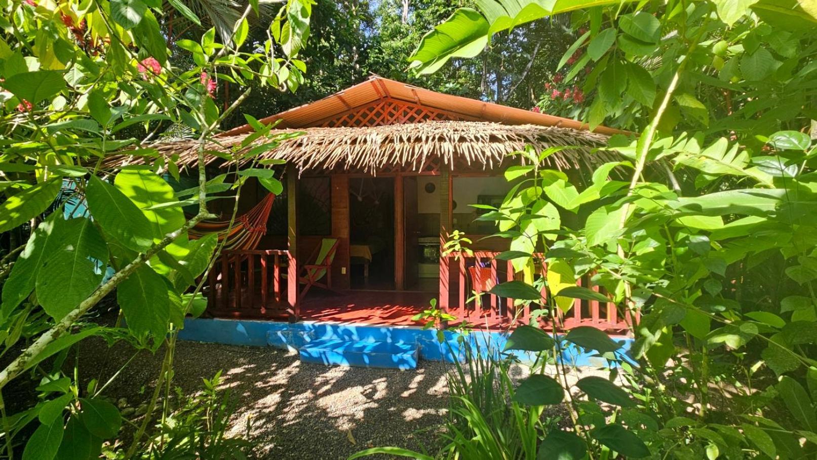 Casitas Las Flores Puerto Viejo de Talamanca Екстериор снимка