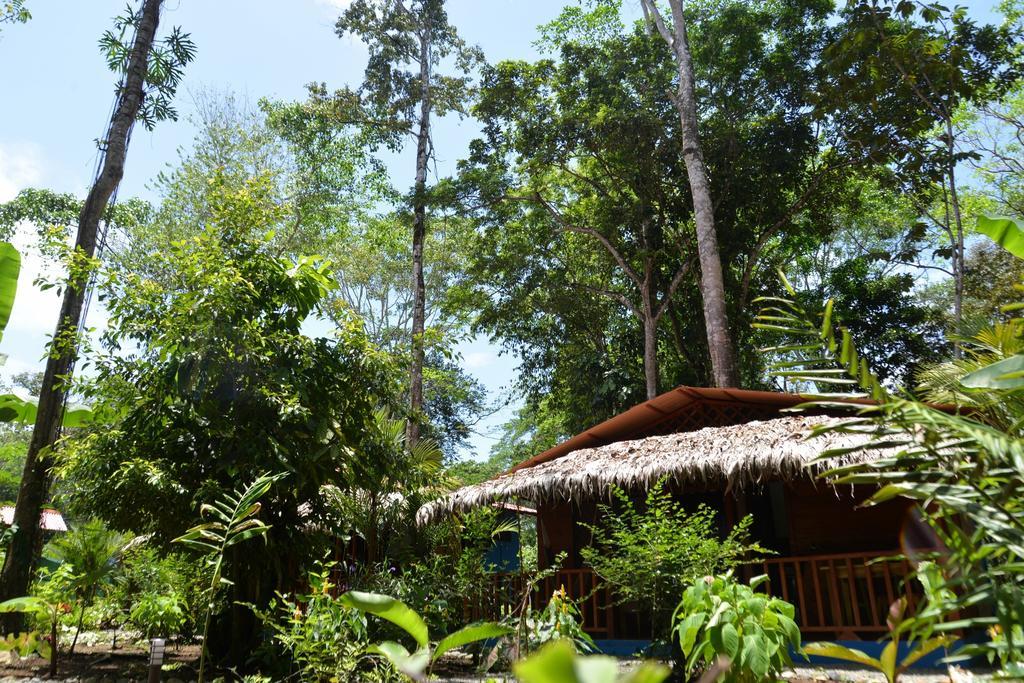 Casitas Las Flores Puerto Viejo de Talamanca Екстериор снимка