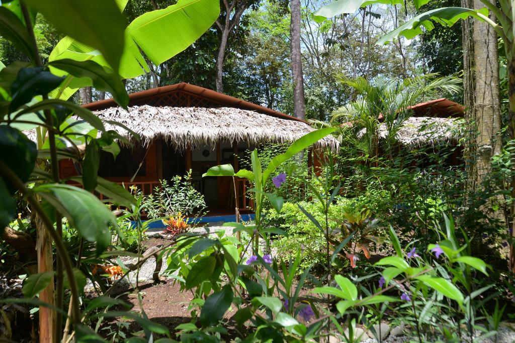 Casitas Las Flores Puerto Viejo de Talamanca Екстериор снимка