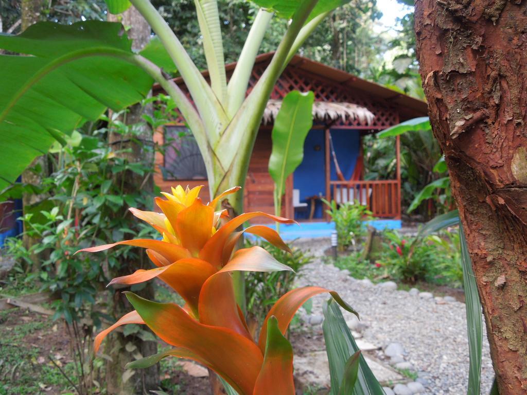 Casitas Las Flores Puerto Viejo de Talamanca Екстериор снимка