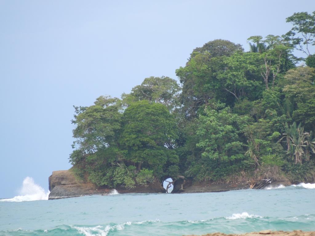 Casitas Las Flores Puerto Viejo de Talamanca Екстериор снимка