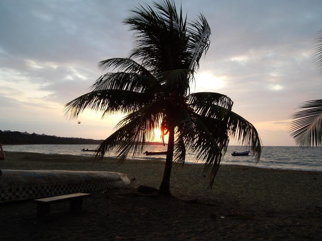 Casitas Las Flores Puerto Viejo de Talamanca Екстериор снимка