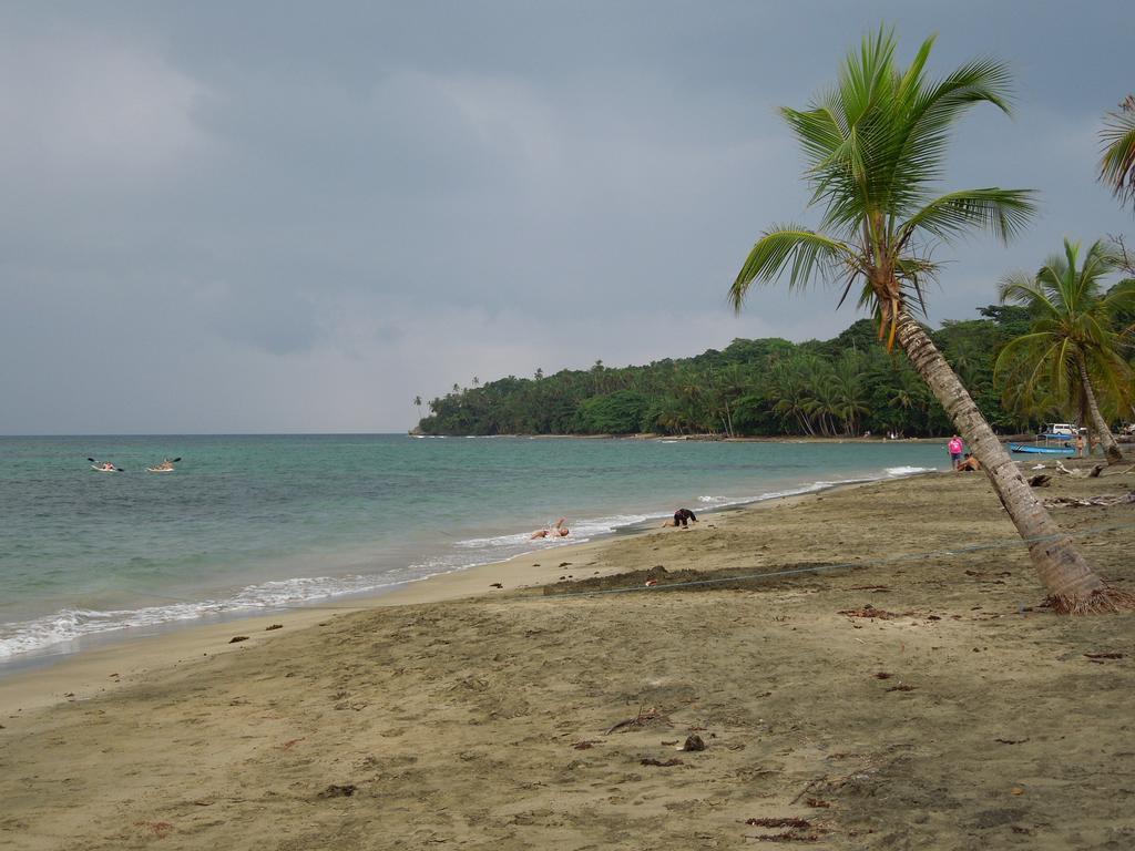 Casitas Las Flores Puerto Viejo de Talamanca Екстериор снимка