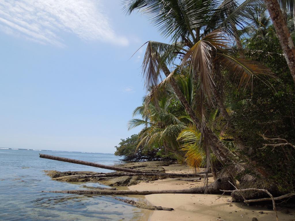 Casitas Las Flores Puerto Viejo de Talamanca Екстериор снимка
