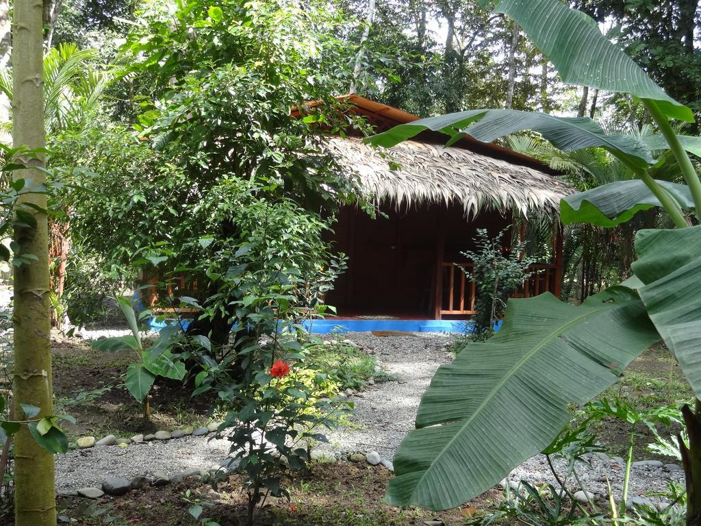 Casitas Las Flores Puerto Viejo de Talamanca Екстериор снимка